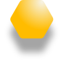 hexagonal gold icon